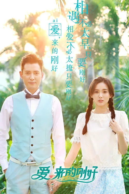 爱,来的刚好海报