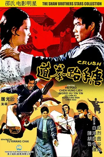 唐手跆拳道海报