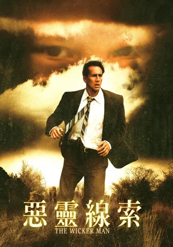 柳条人海报
