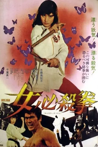 女必杀拳海报