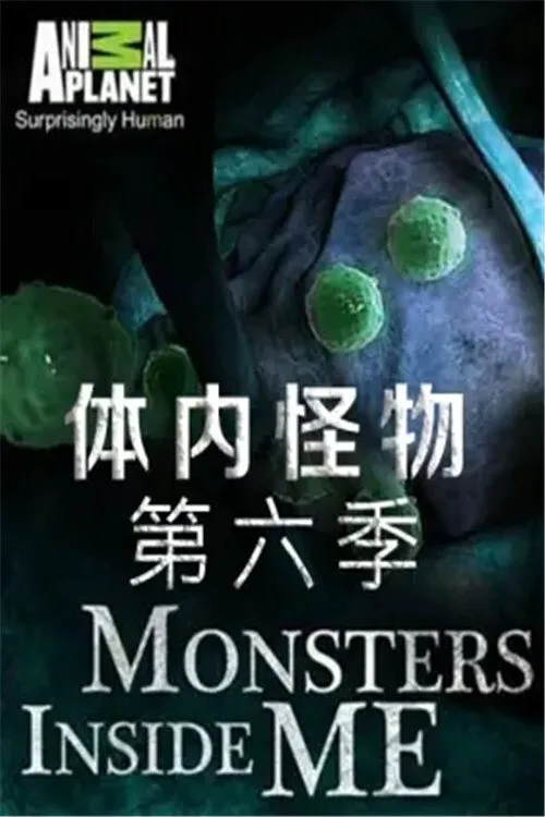 体内的怪物 第 6 季海报