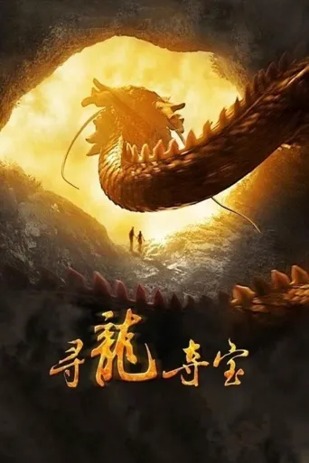 寻龙夺宝海报