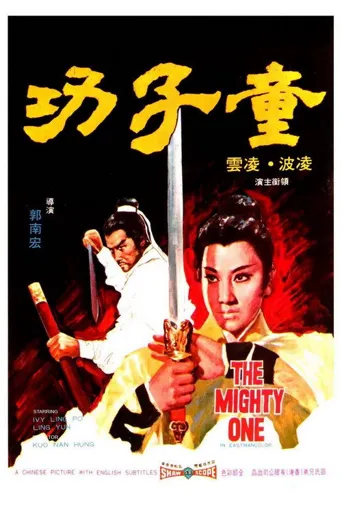童子功海报