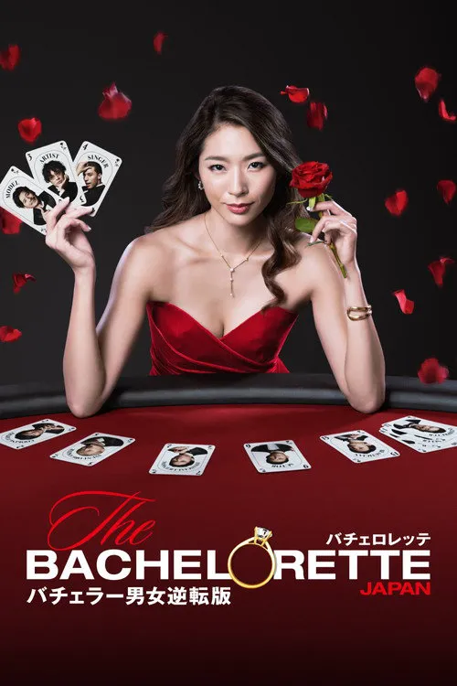 女单身汉 日本版海报