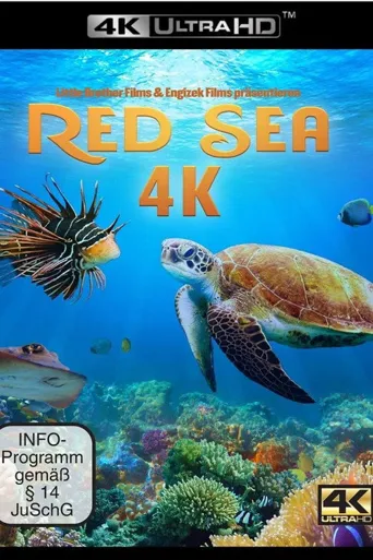 海底风光海报