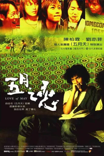 五月之恋海报