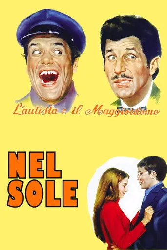 Nel sole海报