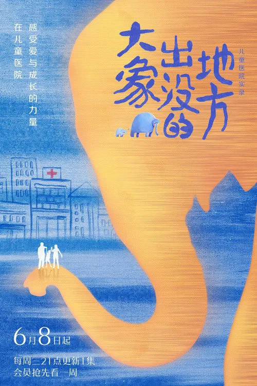 大象出没的地方海报