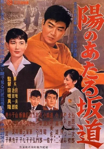 阳光照耀的坡道海报