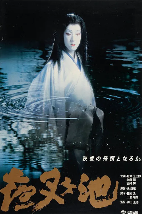 夜叉池海报