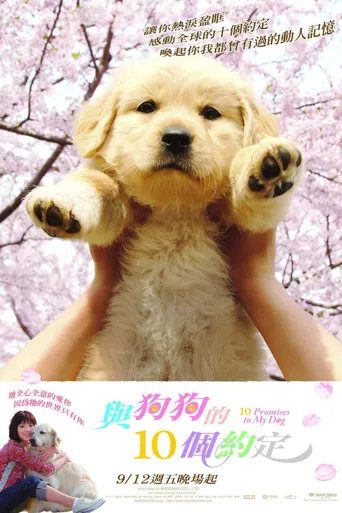 狗狗与我的十个约定海报