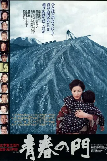 青春之门海报
