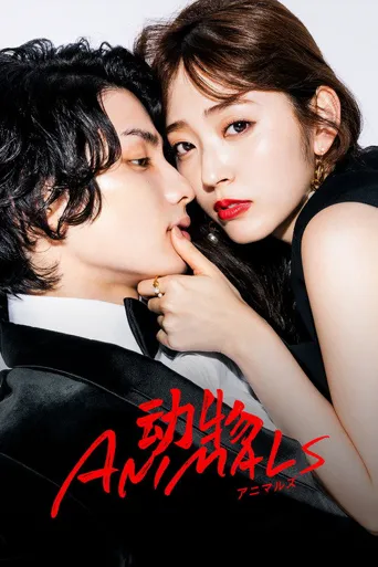 动物海报