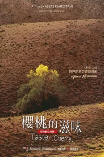 樱桃的滋味海报