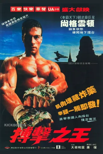 搏击之王海报