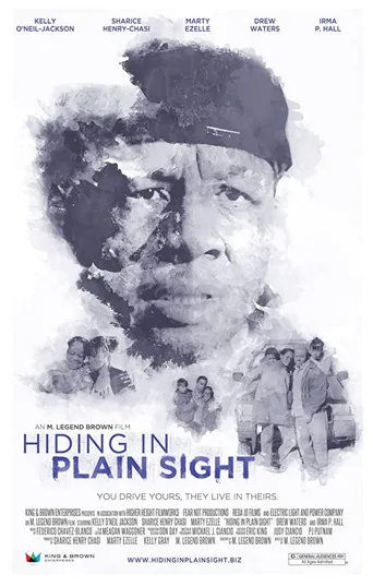 Hiding in Plain Sight海报
