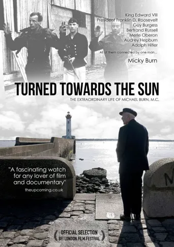 Turned Towards the Sun海报