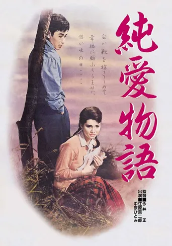 纯爱物语海报