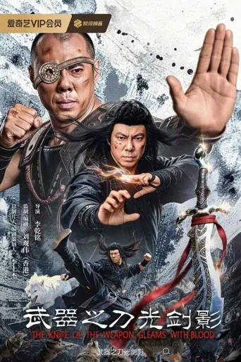 武器之刀光剑影海报