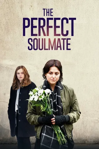 The Perfect Soulmate海报