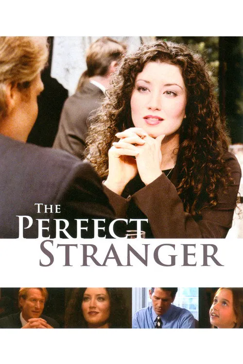 The Perfect Stranger海报