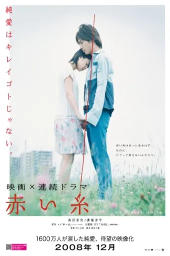 红线海报