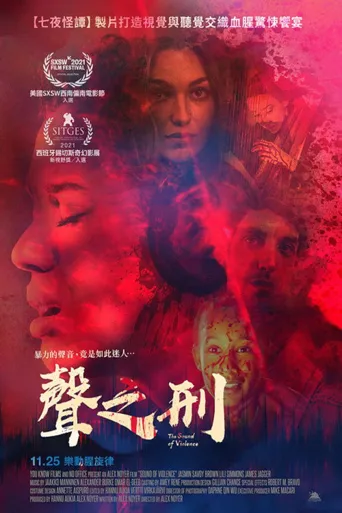 暴力之音海报