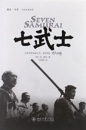 七武士海报
