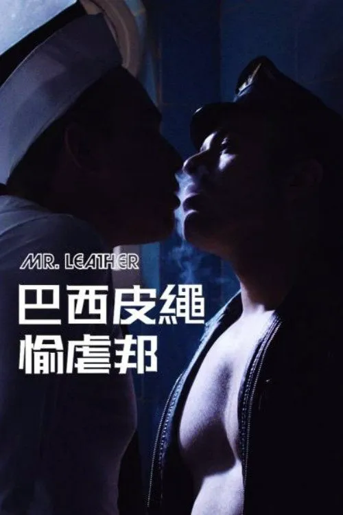 皮革先生海报