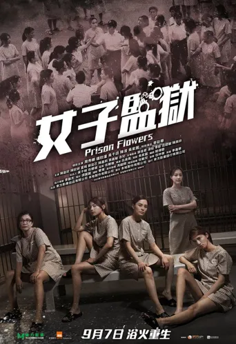 女囚风暴1995海报