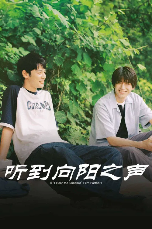 向阳之处必有声海报