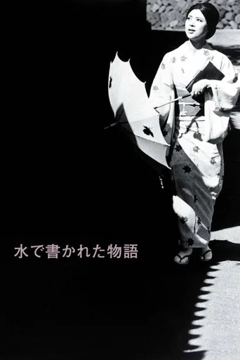 水书物语海报