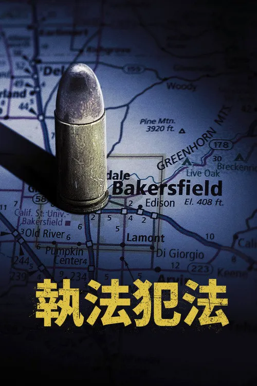 执法犯法海报