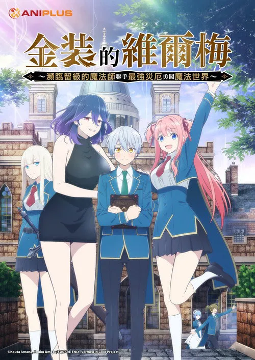 金装的维尔梅海报