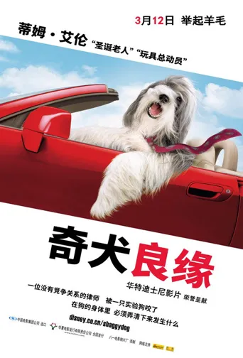 长毛狗海报