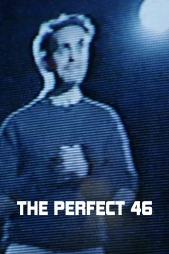 The Perfect 46海报