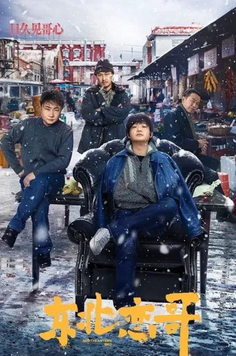 东北恋哥海报