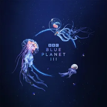蓝色星球 第 3 季海报