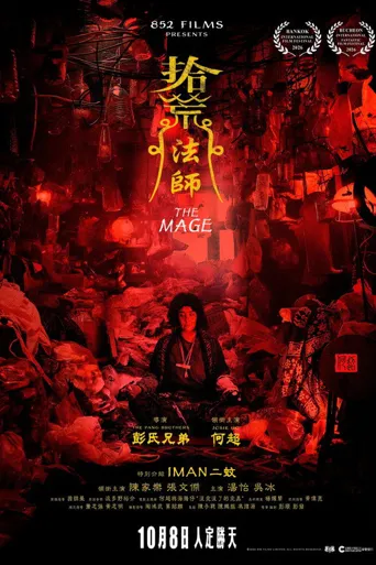 拾荒法師海报