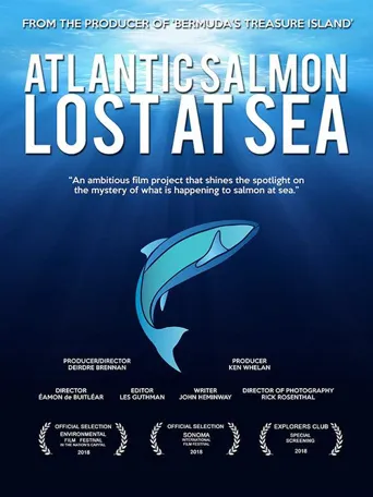 Atlantic Salmon: Lost at Sea海报