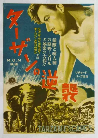泰山逃亡海报