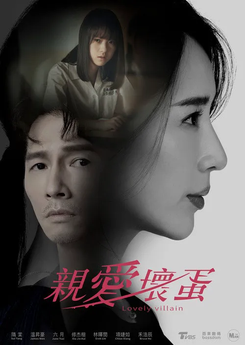 亲爱坏蛋海报