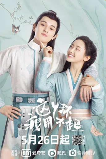 这丫环我用不起海报