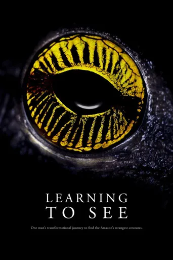 Learning to See: The World of Insects海报