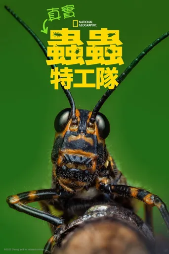 虫虫历险记 第 1 季海报