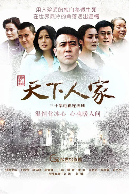 天下人家海报