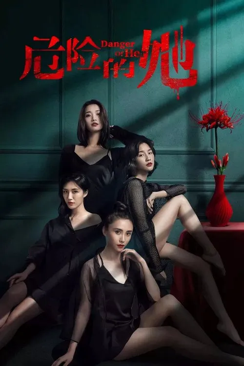 危险的她海报