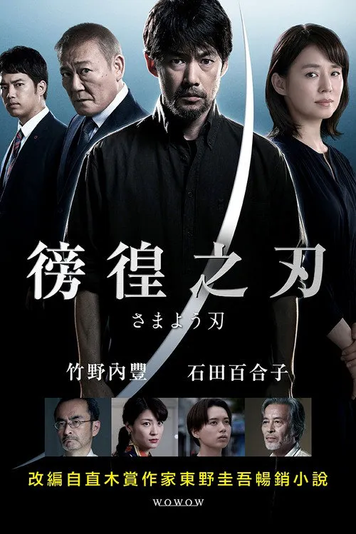 彷徨之刃海报