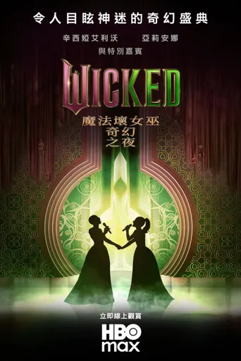 魔法坏女巫：奇幻之夜海报