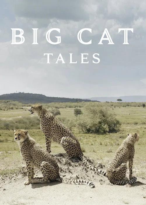 Big Cat Tales 第 1 季海报